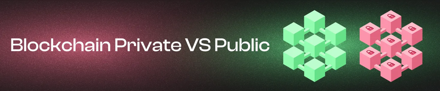 Las diferencias entre blockchain pública y privada.